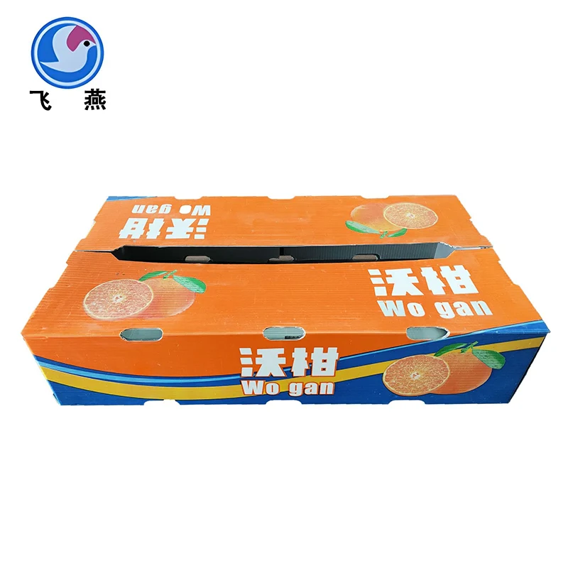 フルーツカルシウムプラスチック代謝回転ボックス