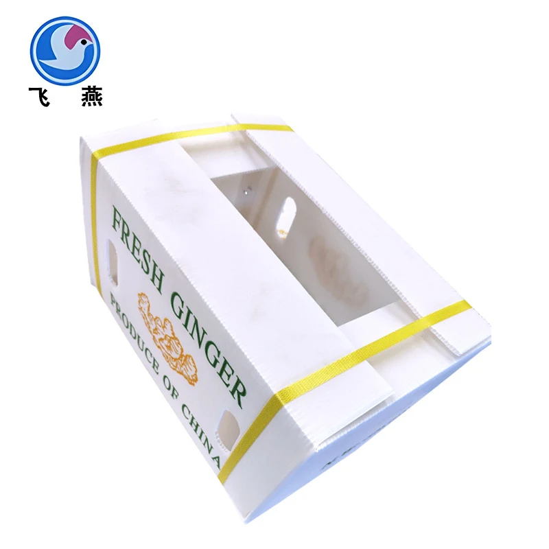 Persimmonカルシウムプラスチック代謝回転ボックス